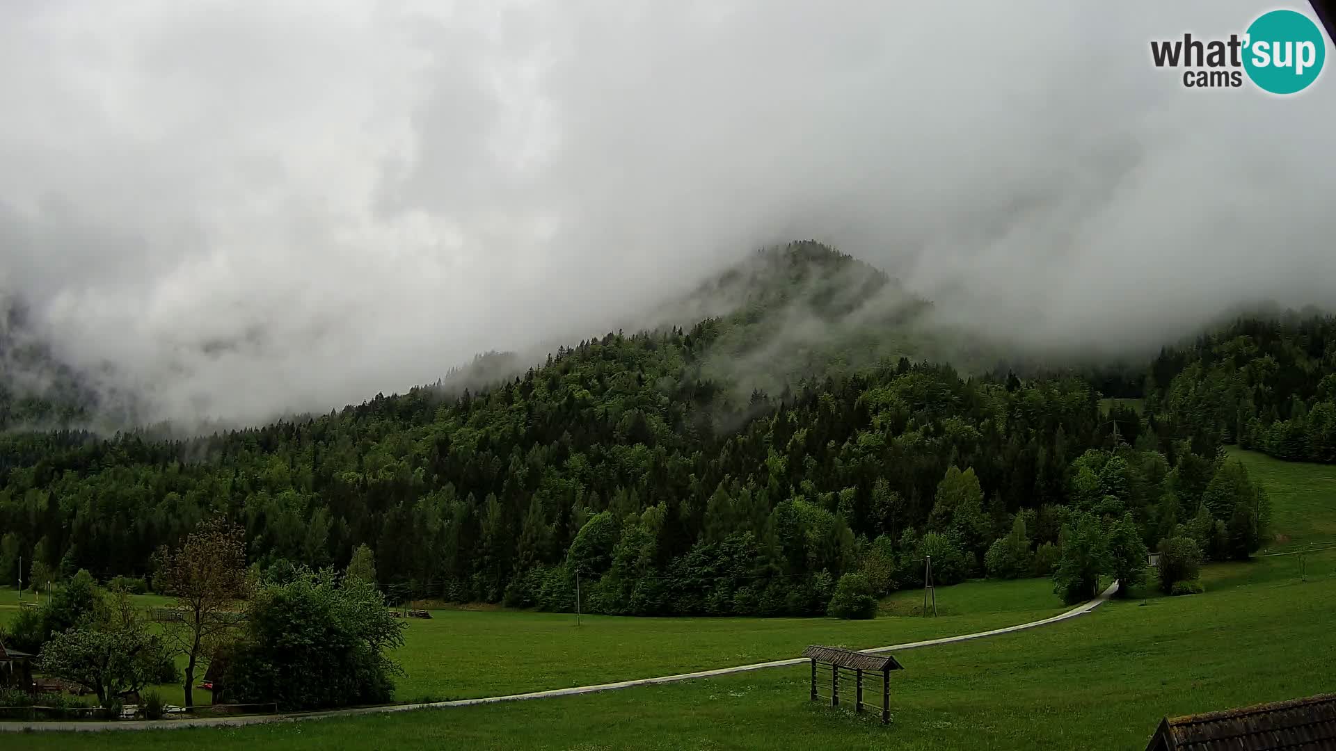 Gozd Martuljek – Špik Mountain Group