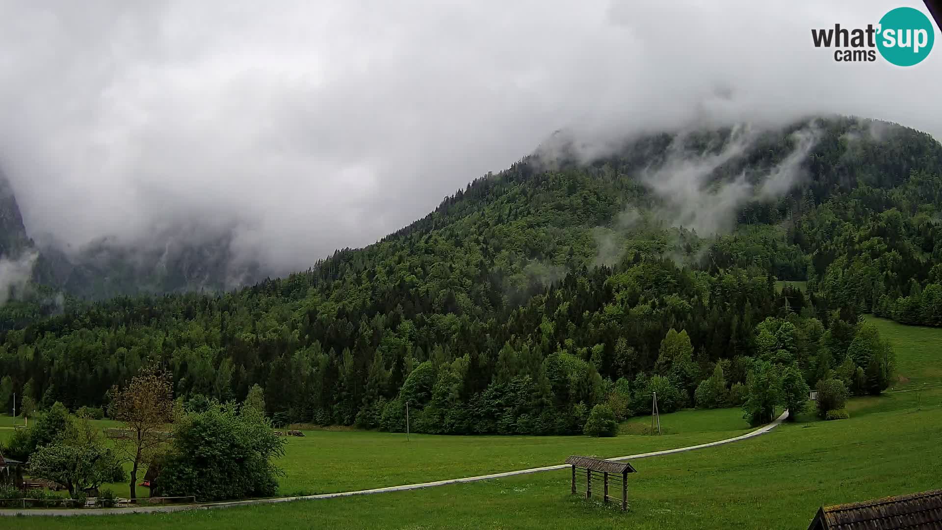 Gozd Martuljek – Špik Mountain Group