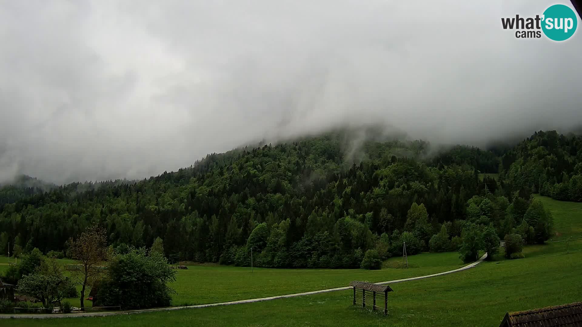 Gozd Martuljek – Špik Mountain Group
