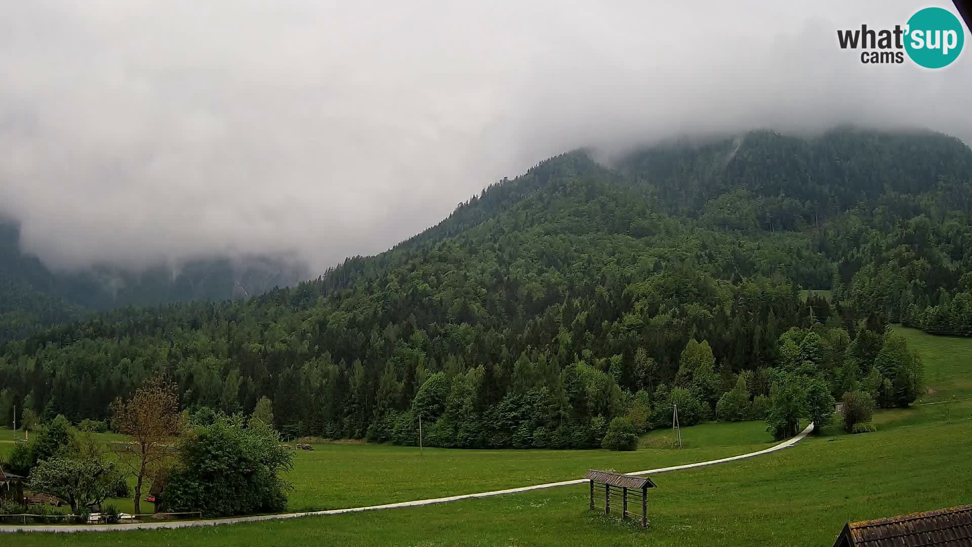 Gozd Martuljek – Špik Mountain Group
