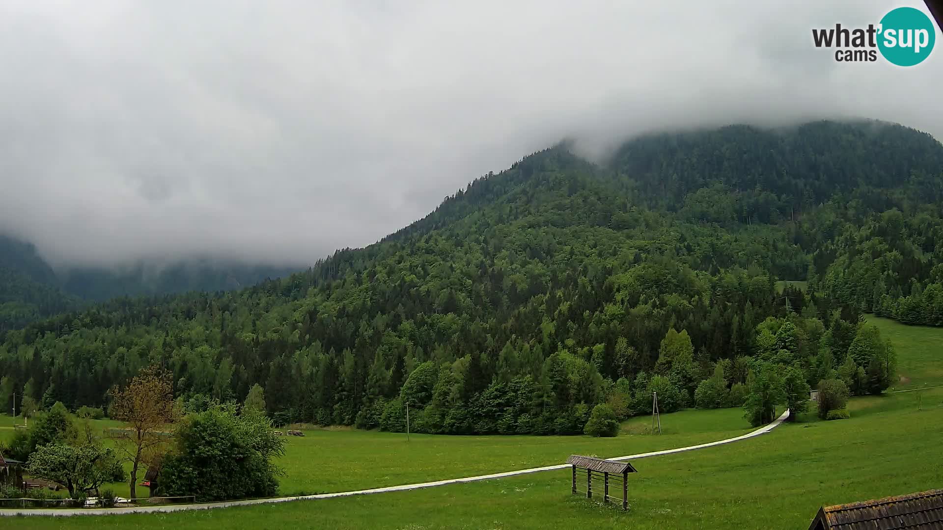 Gozd Martuljek – Špik Mountain Group