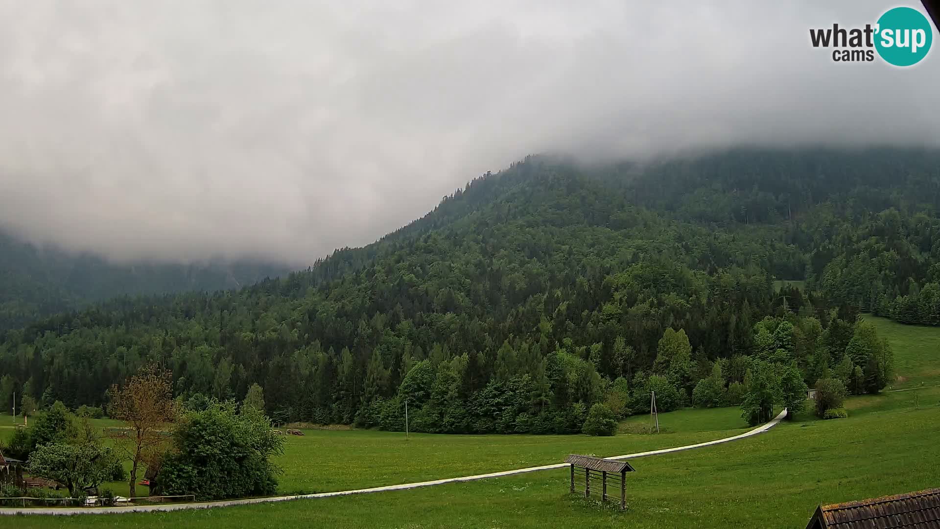 Gozd Martuljek – Špik Mountain Group