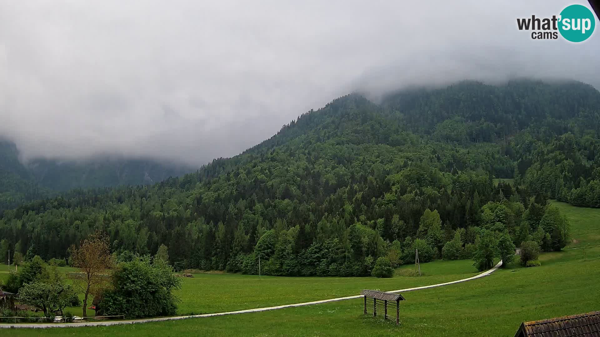 Gozd Martuljek – Špik Mountain Group