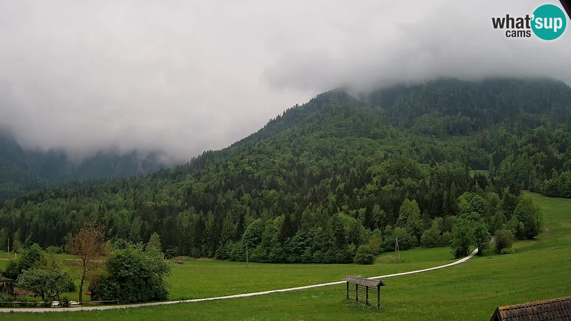 Gozd Martuljek – Špik Mountain Group