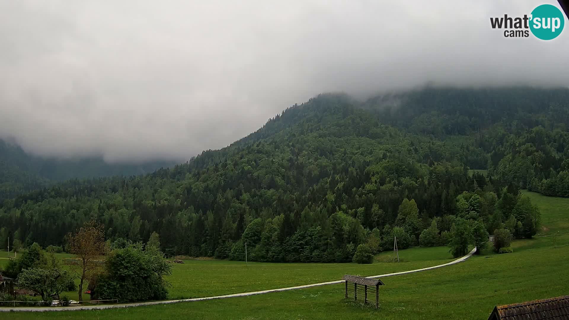 Gozd Martuljek – Špik Mountain Group
