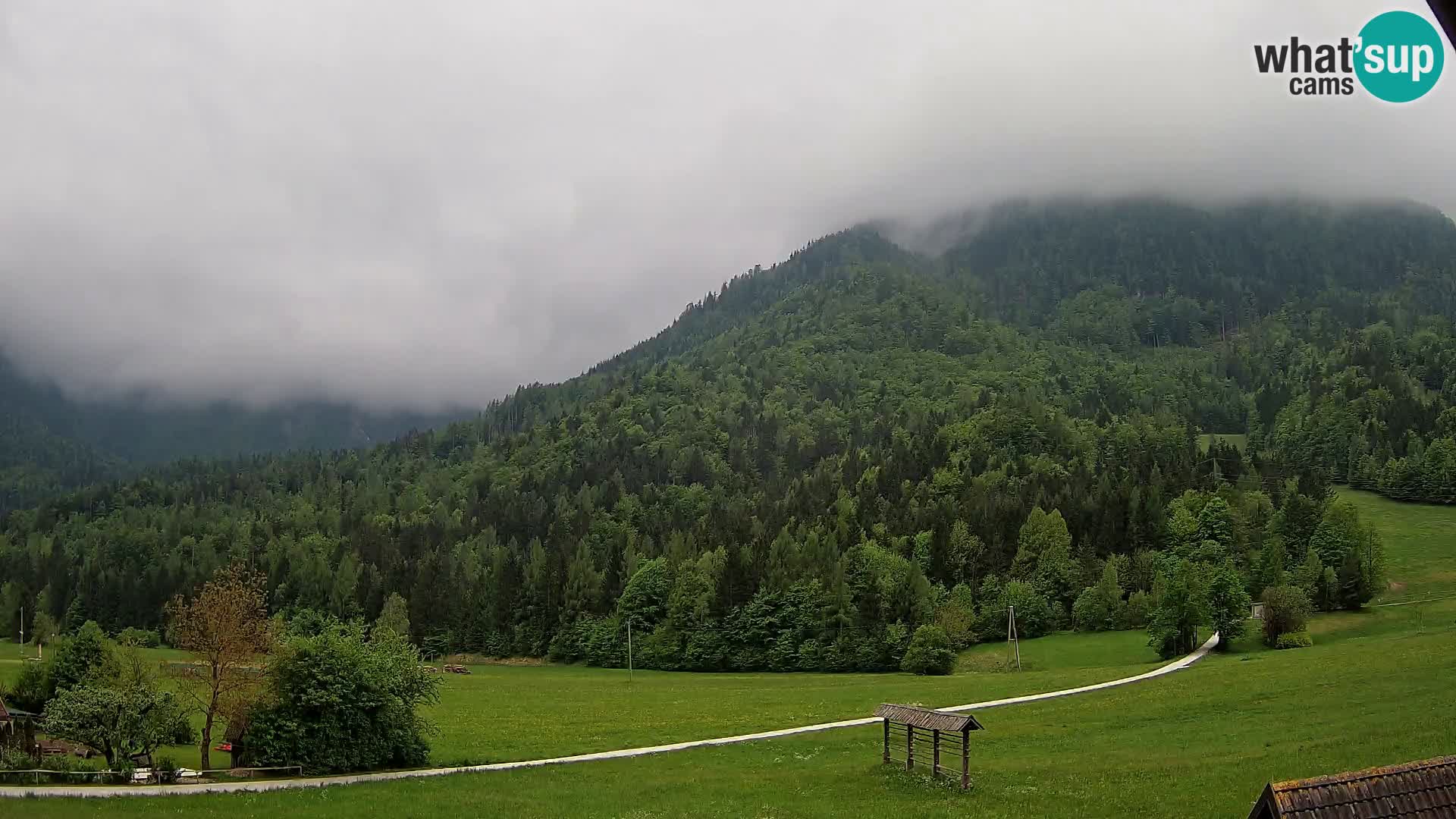 Gozd Martuljek – Špik Mountain Group