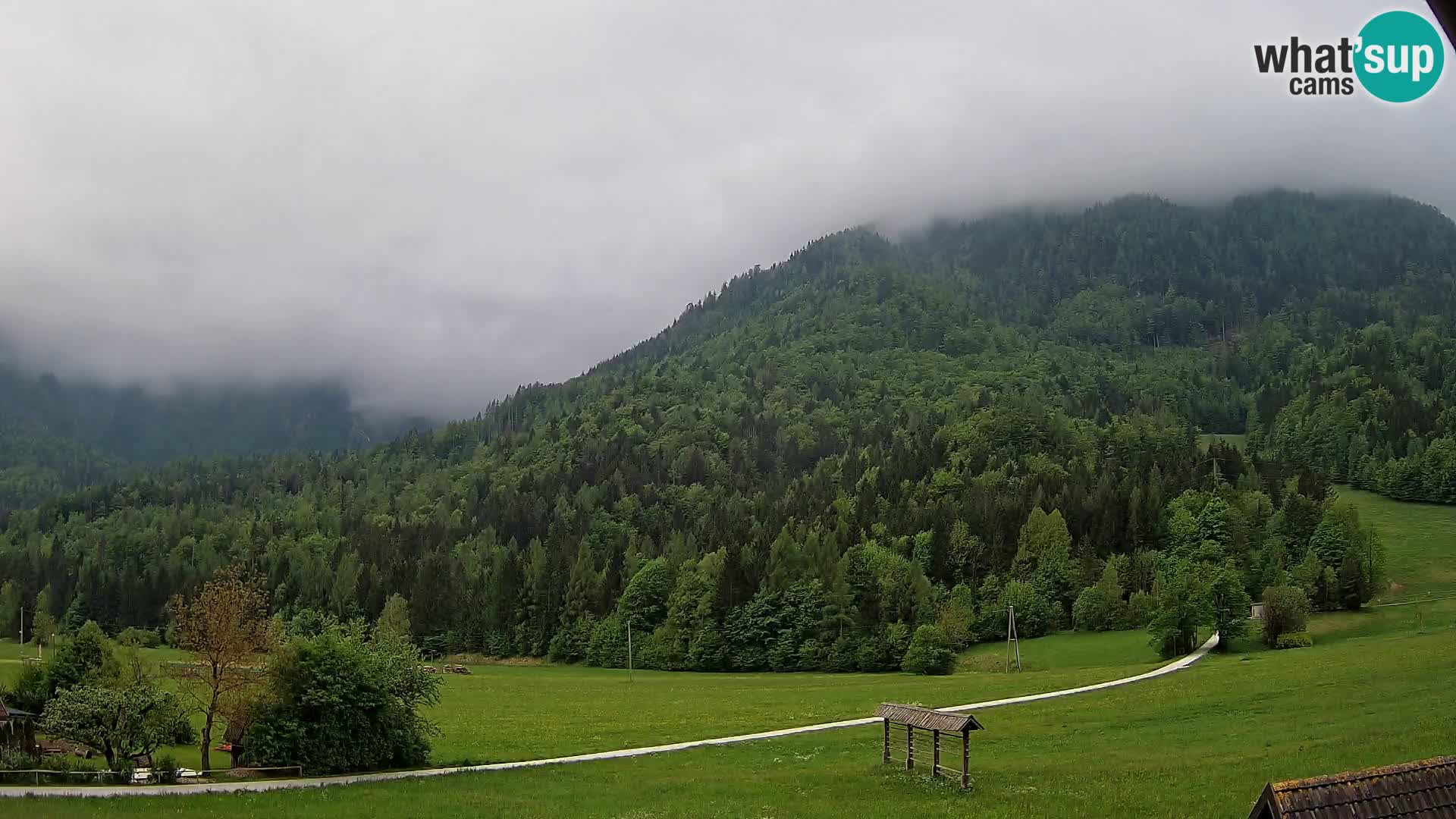 Gozd Martuljek – Špik Mountain Group