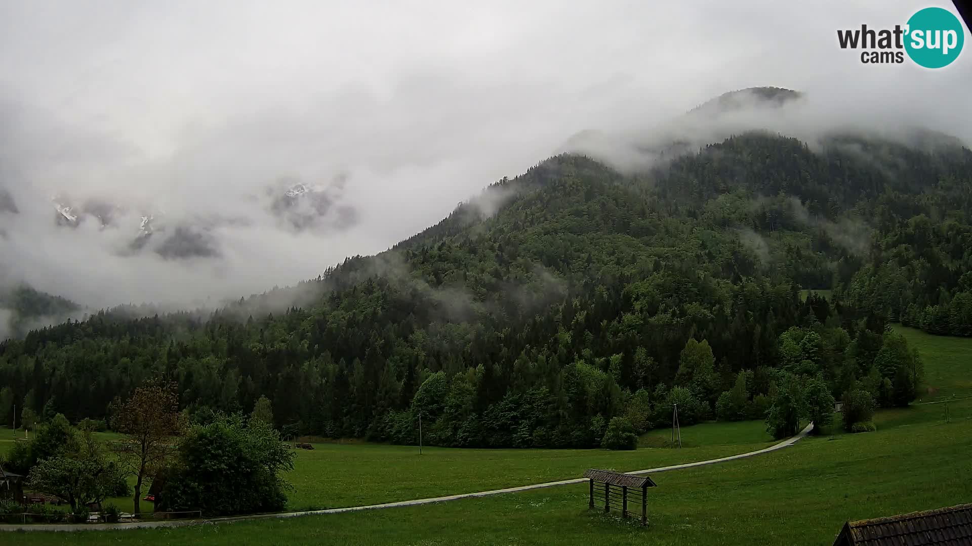 Gozd Martuljek – Špik Mountain Group