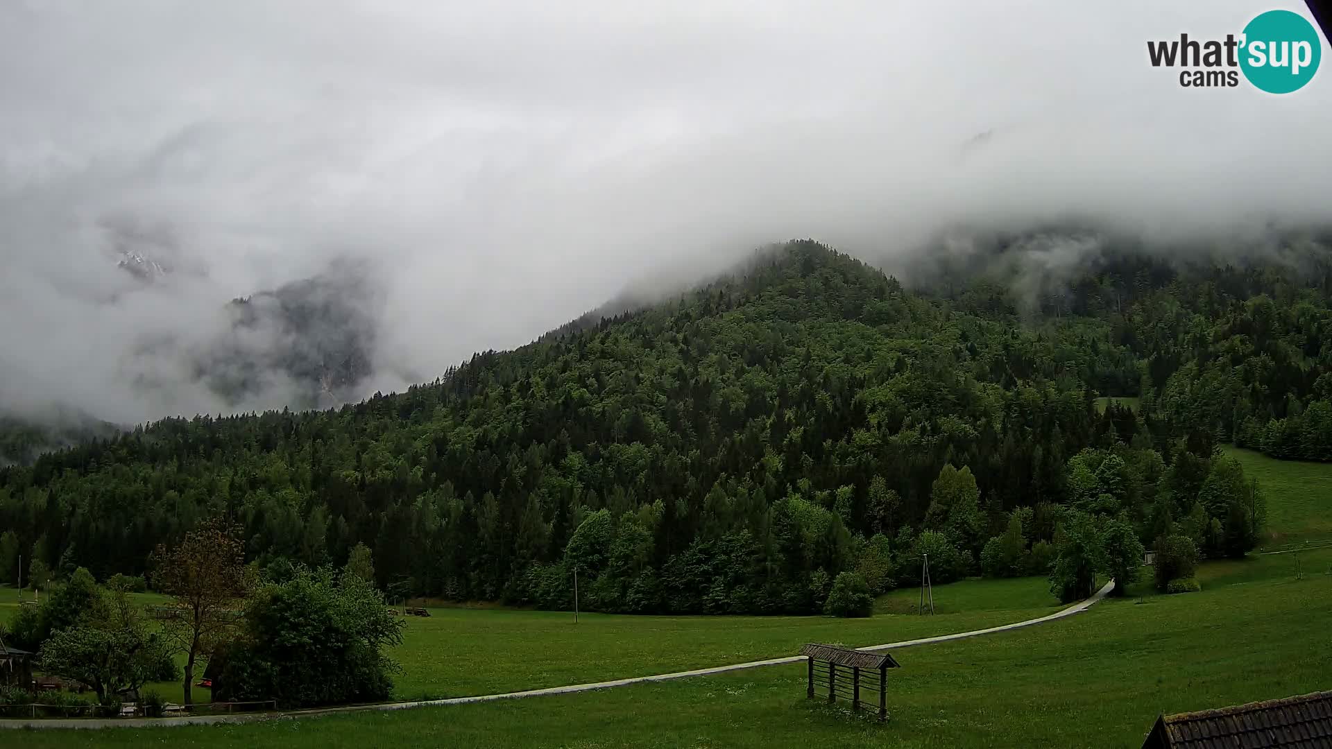 Gozd Martuljek – Špikova skupina