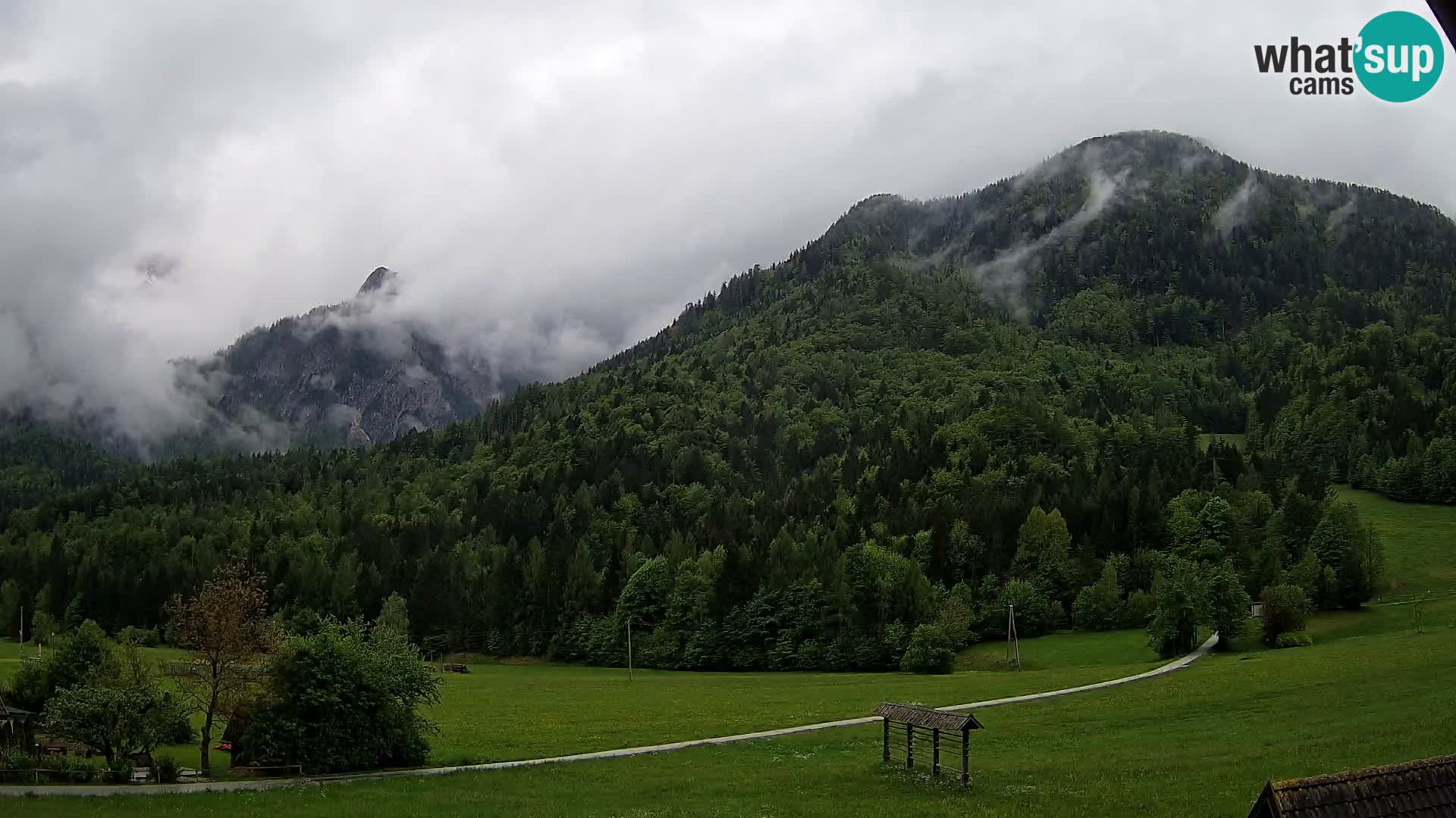 Gozd Martuljek – Špik Mountain Group