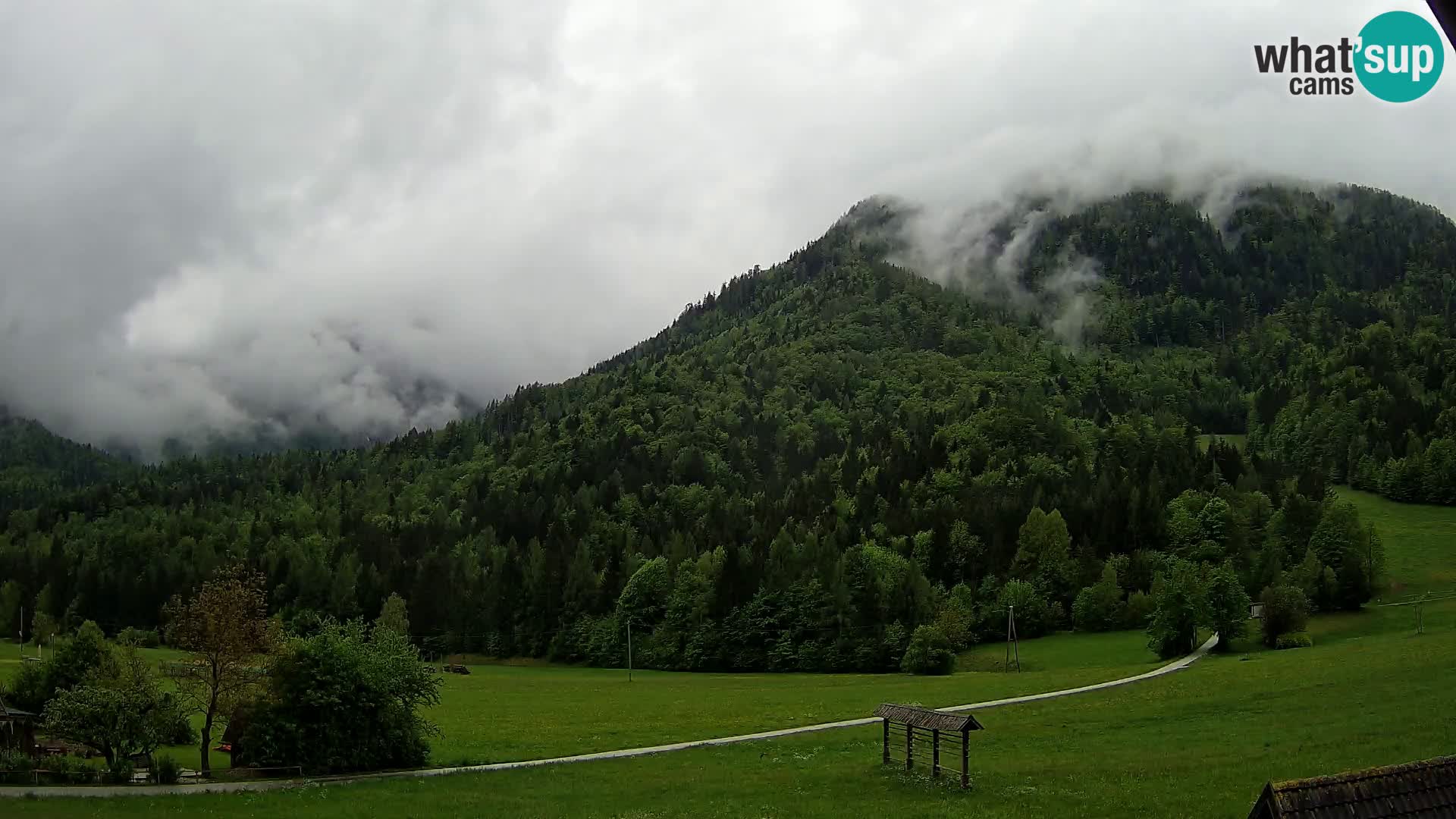 Gozd Martuljek –  planinski lanac Špik