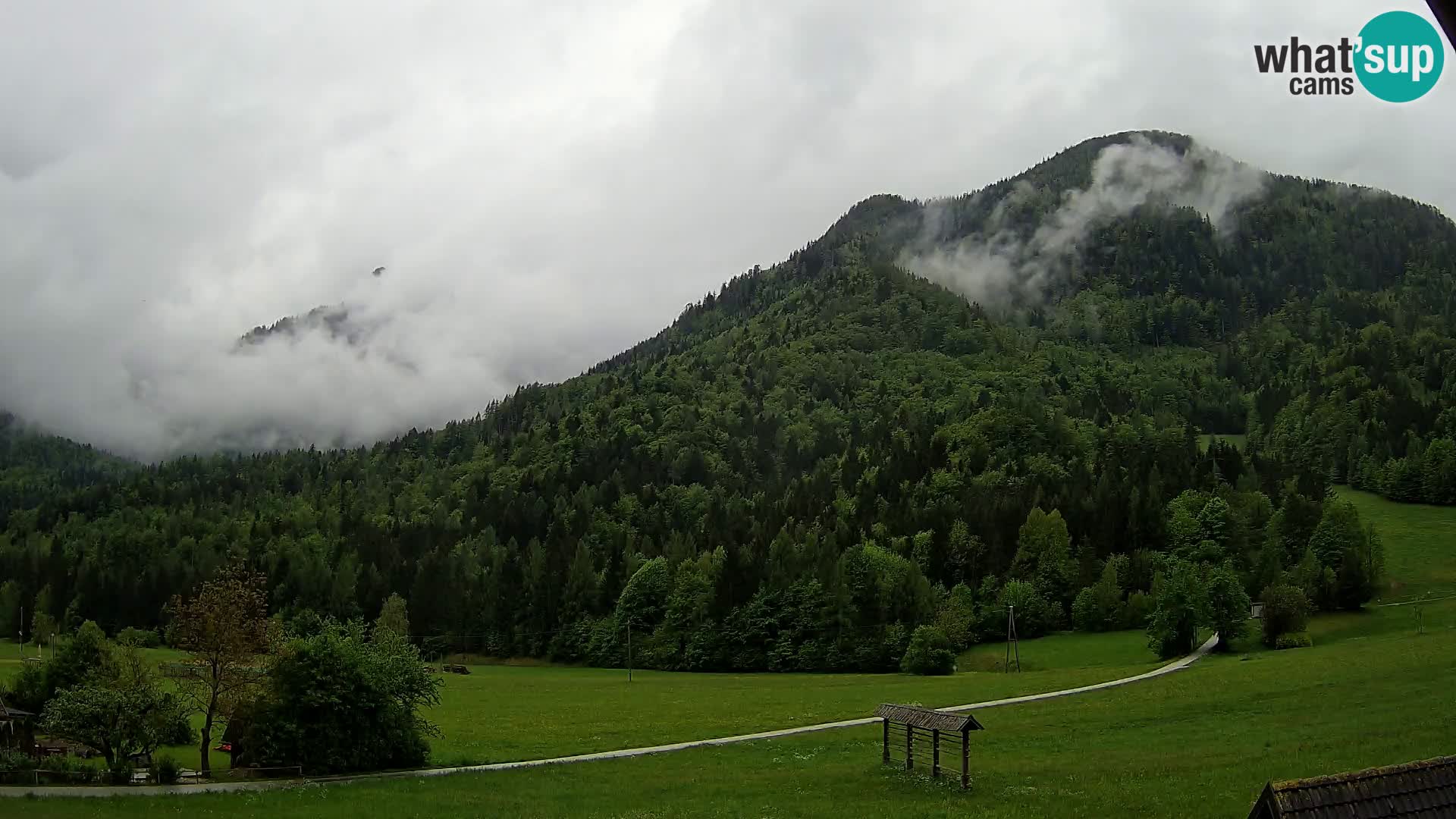 Gozd Martuljek –  planinski lanac Špik