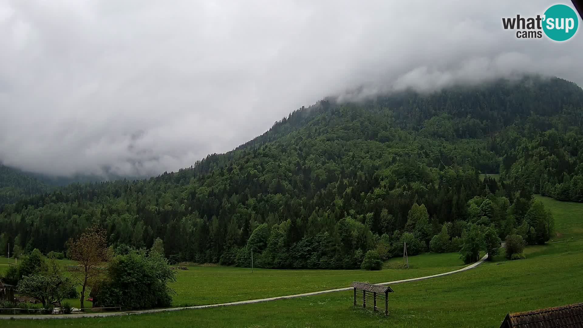 Gozd Martuljek – Špik Mountain Group