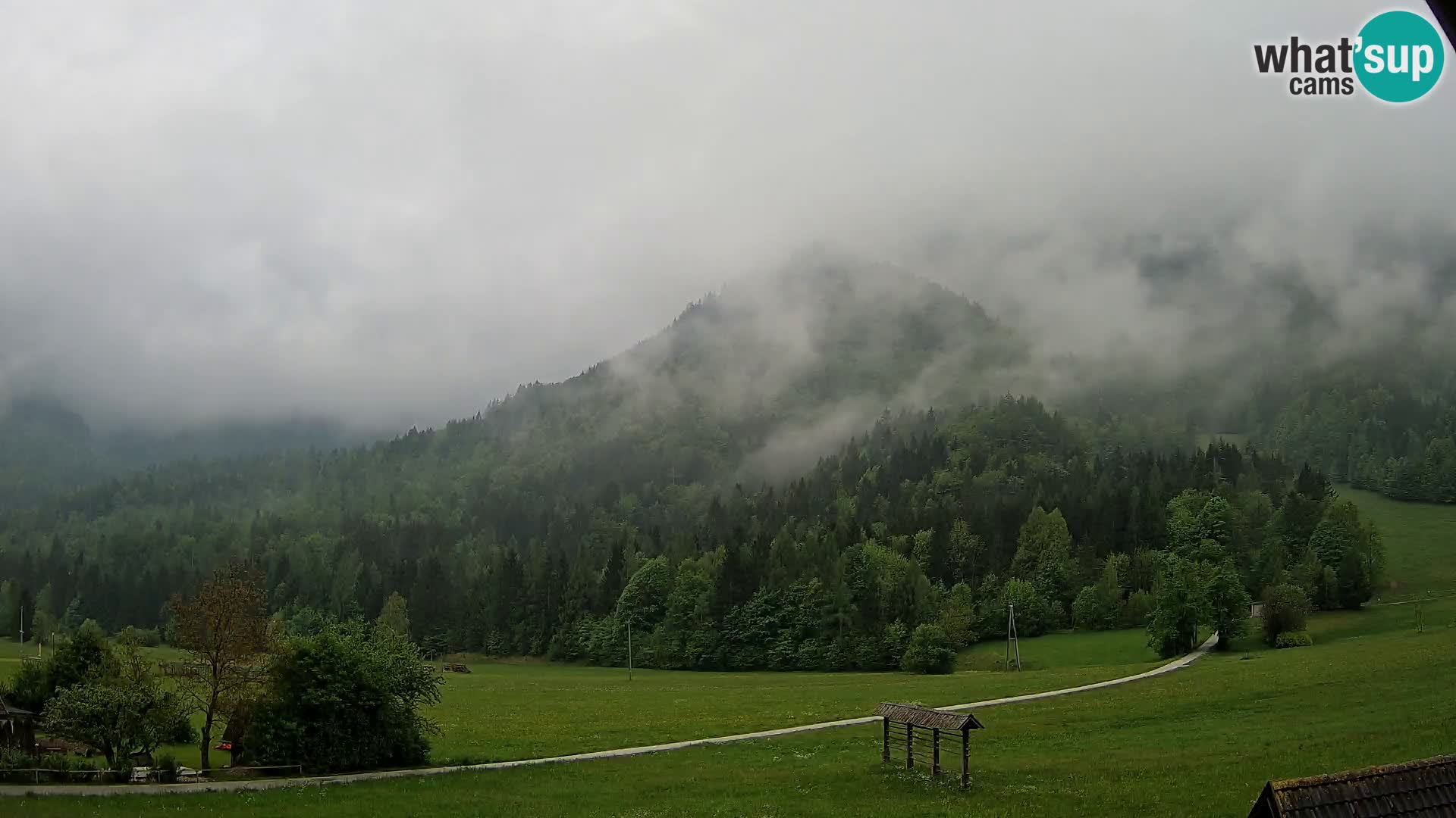 Gozd Martuljek – Špik Mountain Group