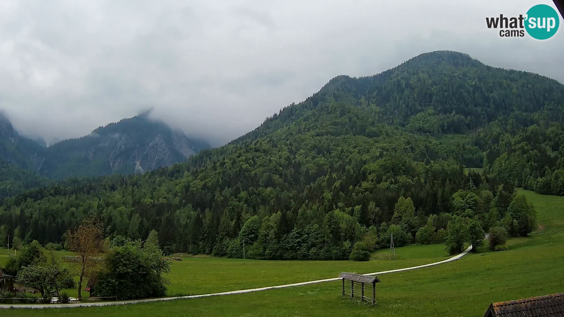 Gozd Martuljek – Špik Mountain Group