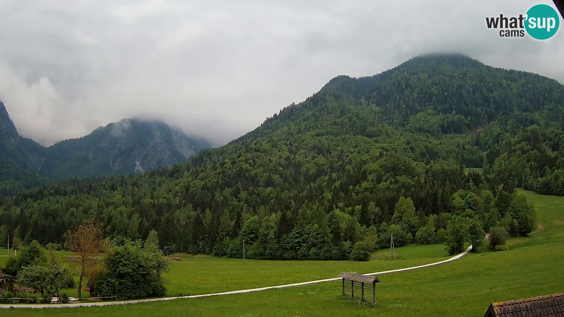 Gozd Martuljek – Špikova skupina