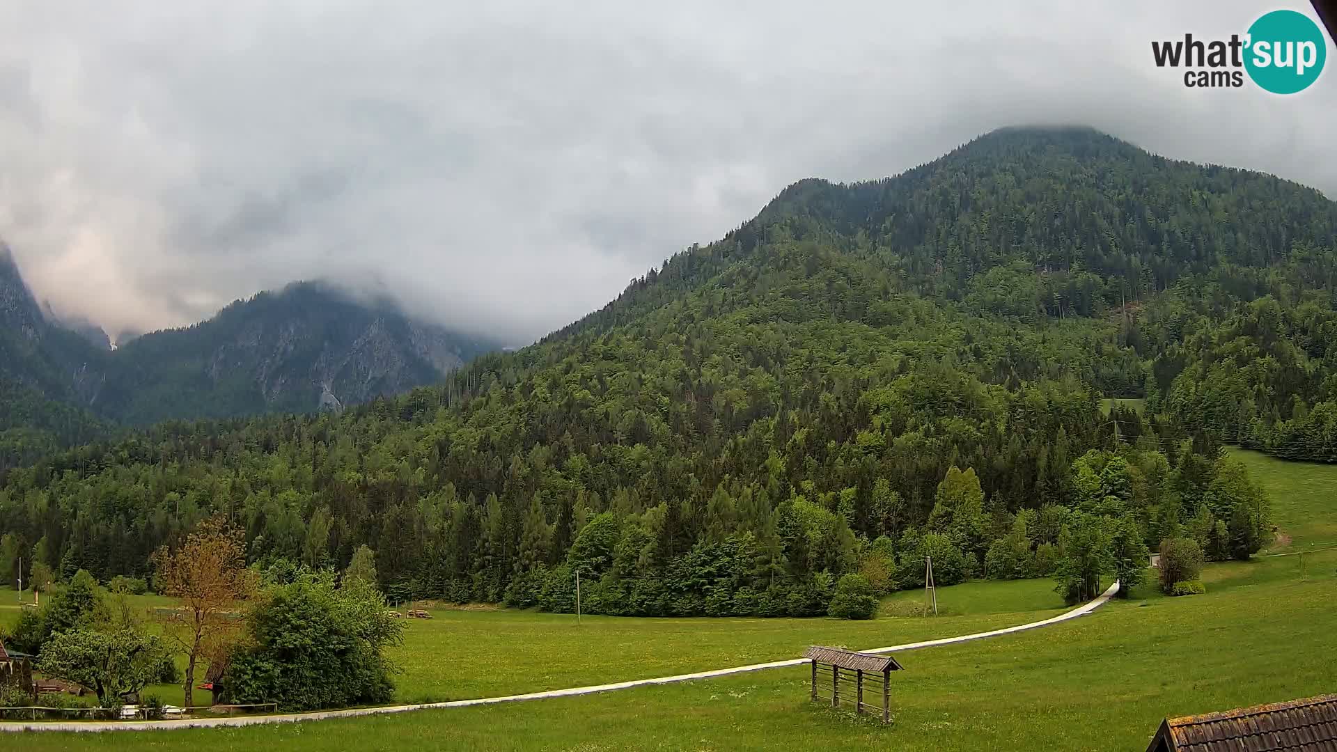 Gozd Martuljek –  planinski lanac Špik