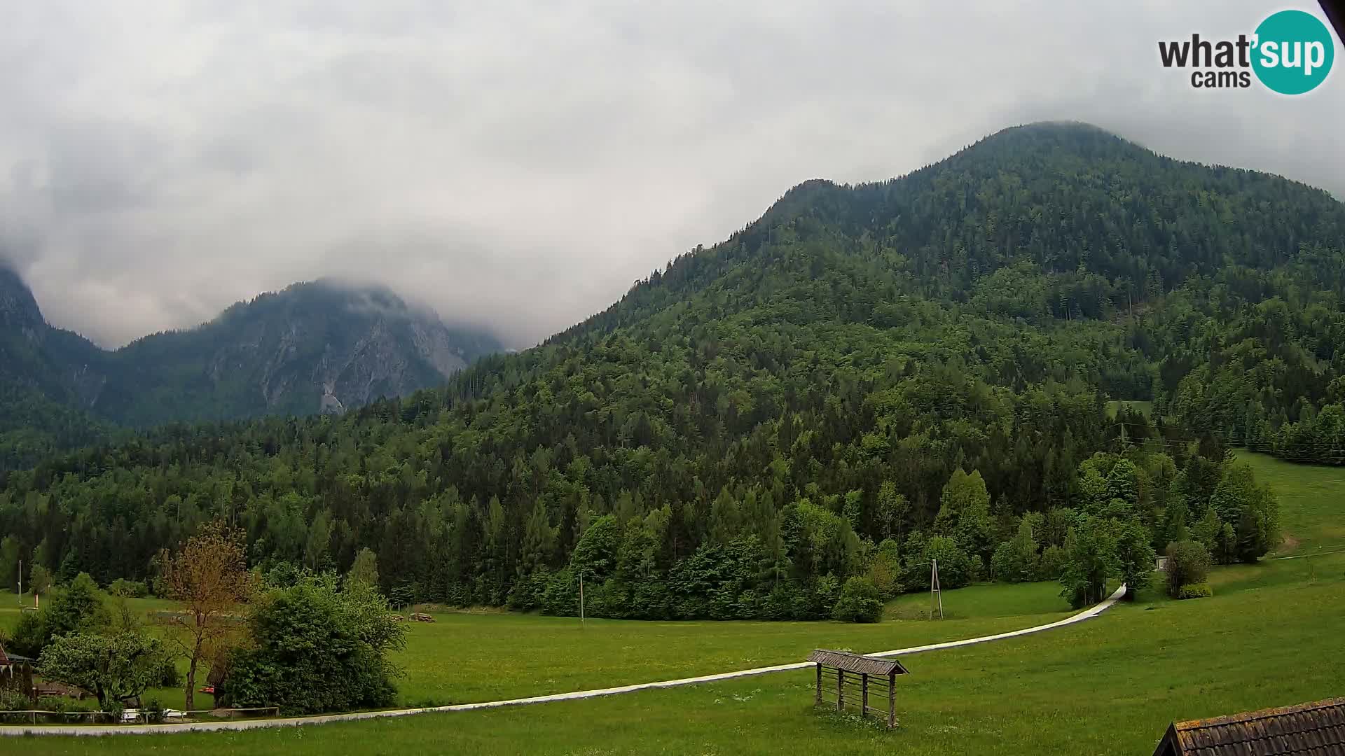 Gozd Martuljek – Špik Mountain Group