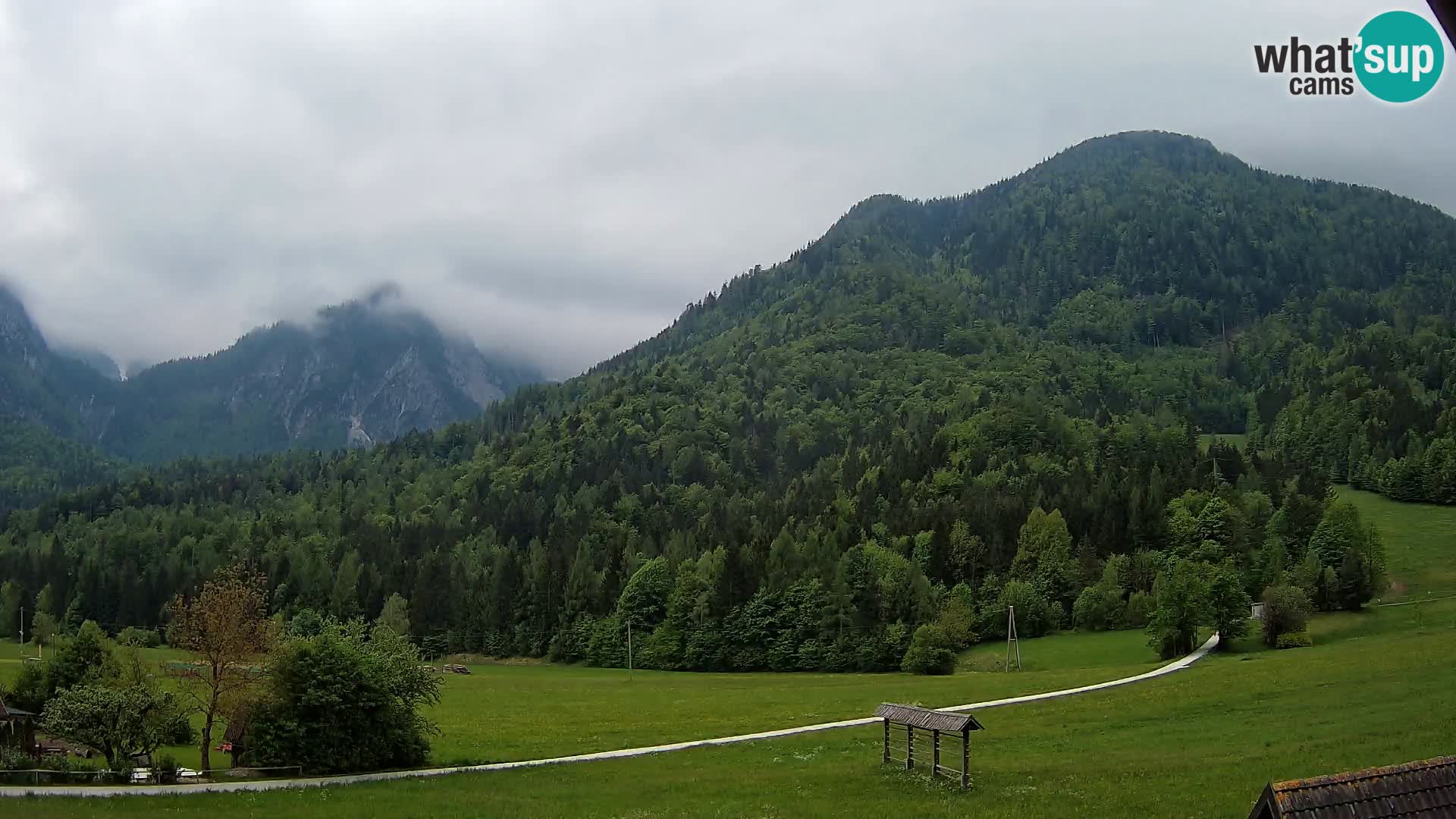 Gozd Martuljek – Špikova skupina