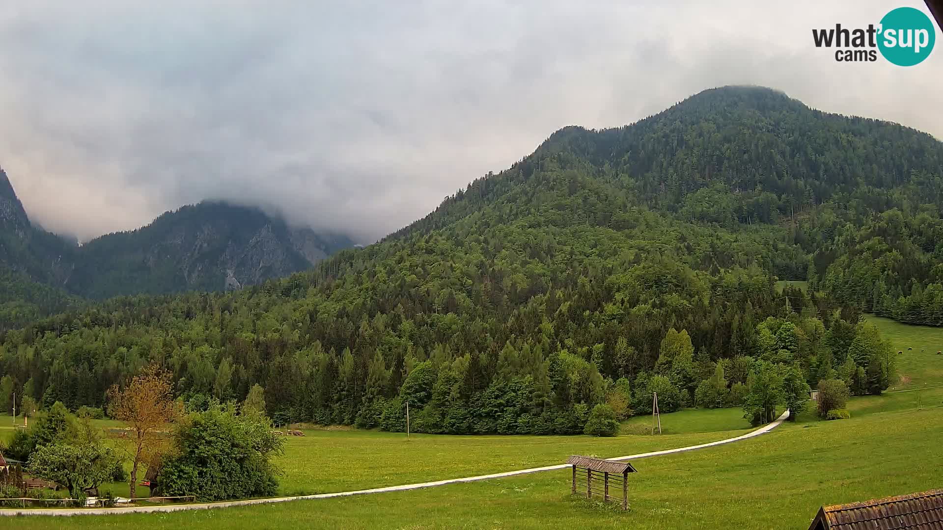 Gozd Martuljek – Špik Mountain Group