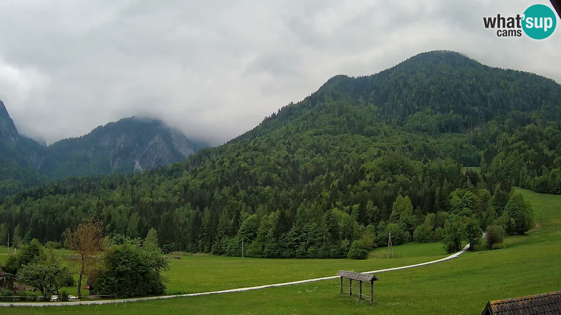 Gozd Martuljek – Špik Mountain Group