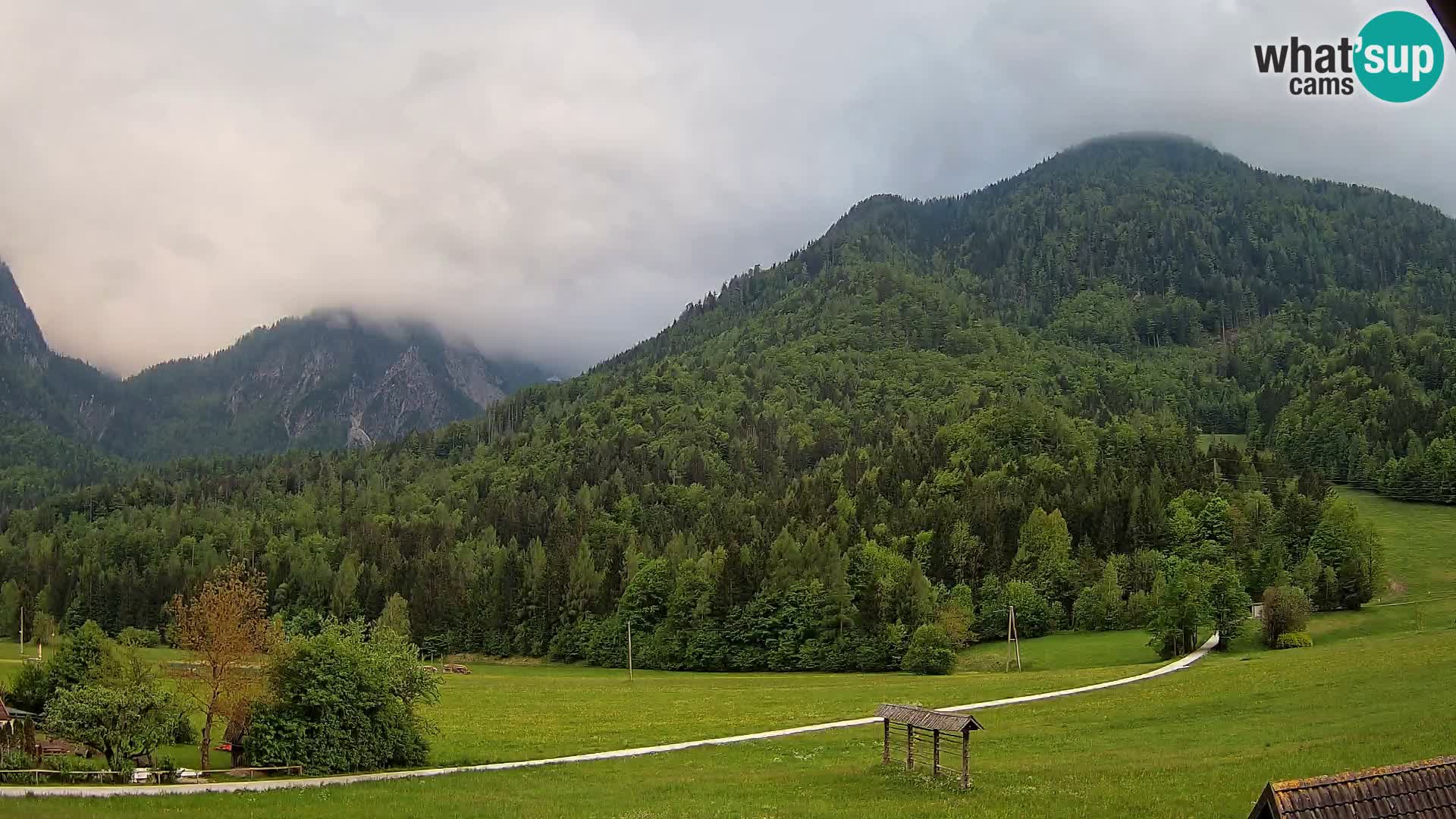 Gozd Martuljek –  planinski lanac Špik