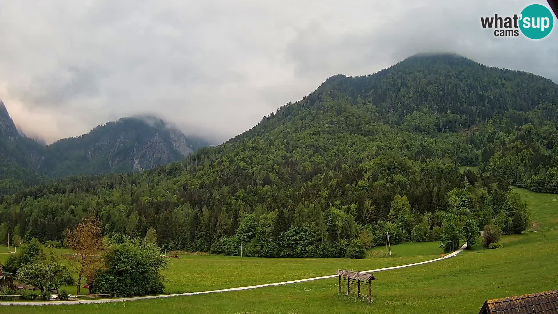 Gozd Martuljek –  planinski lanac Špik