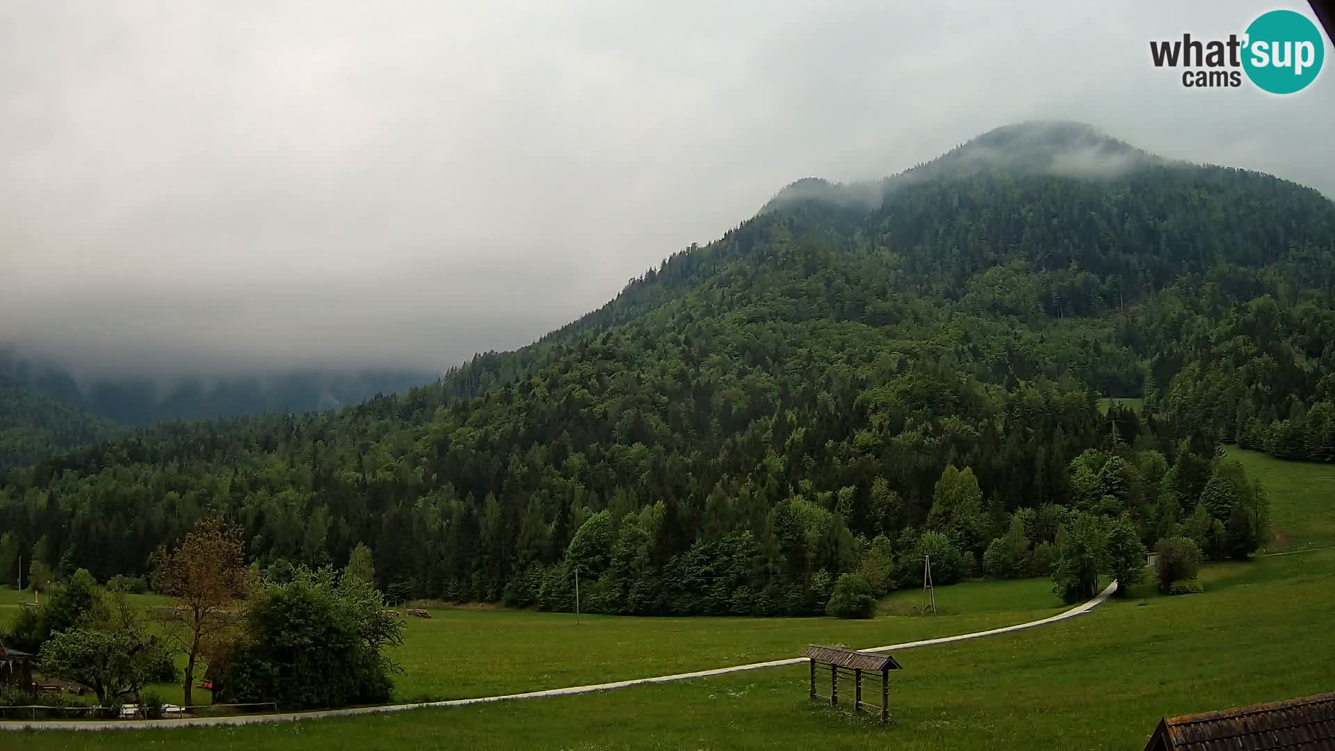 Gozd Martuljek –  planinski lanac Špik