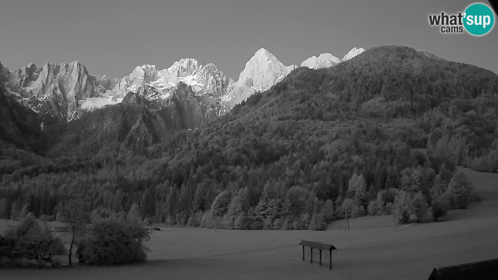 Gozd Martuljek – Špik Mountain Group