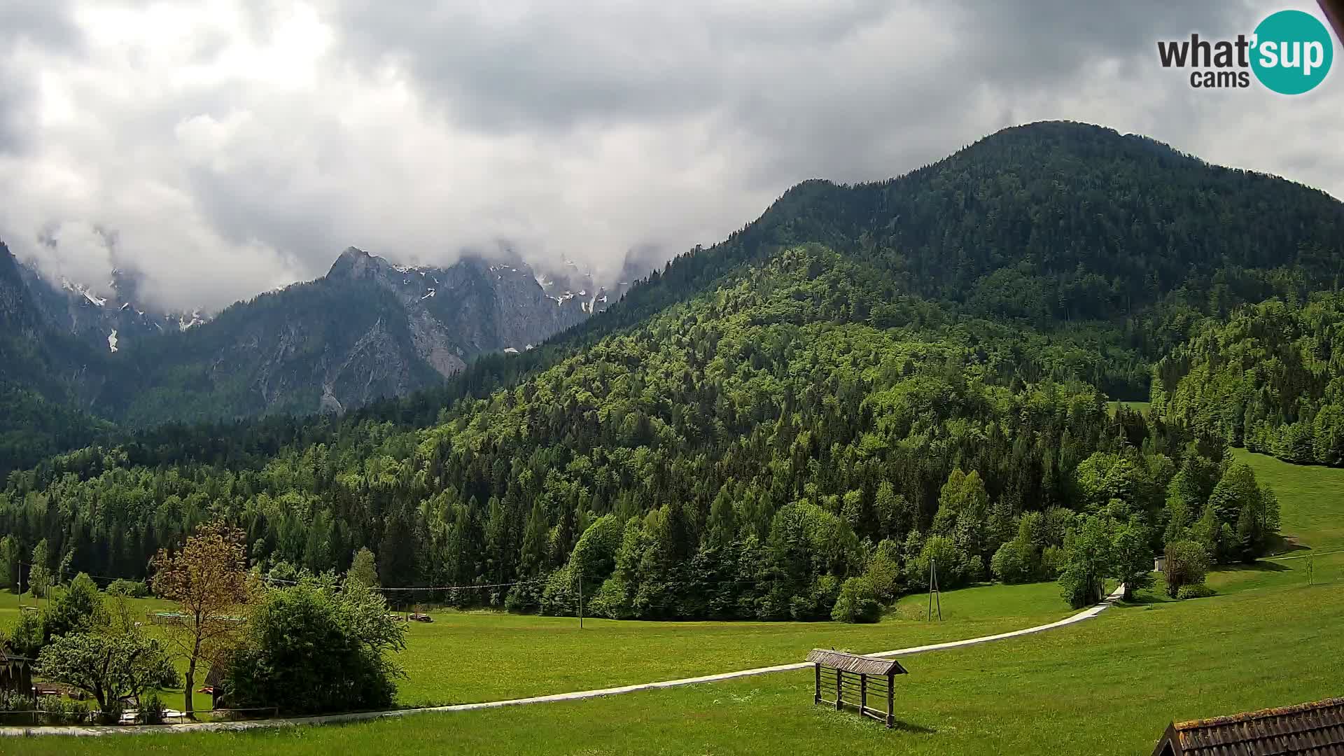 Gozd Martuljek – Špik Mountain Group