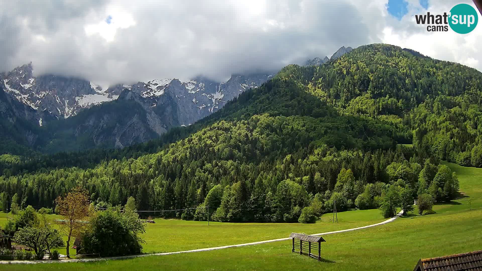 Gozd Martuljek – Špik Mountain Group