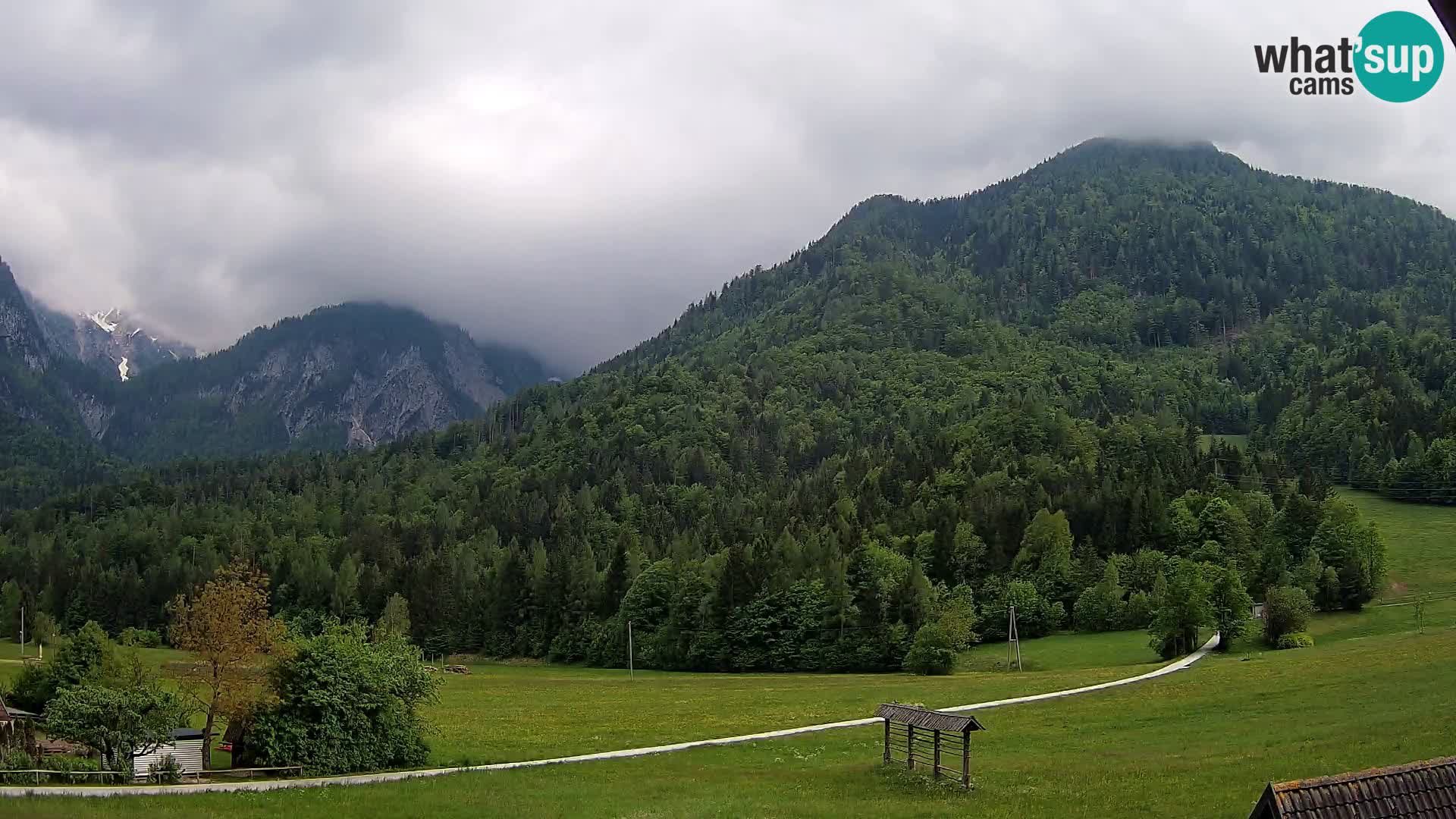 Gozd Martuljek – Špik Mountain Group