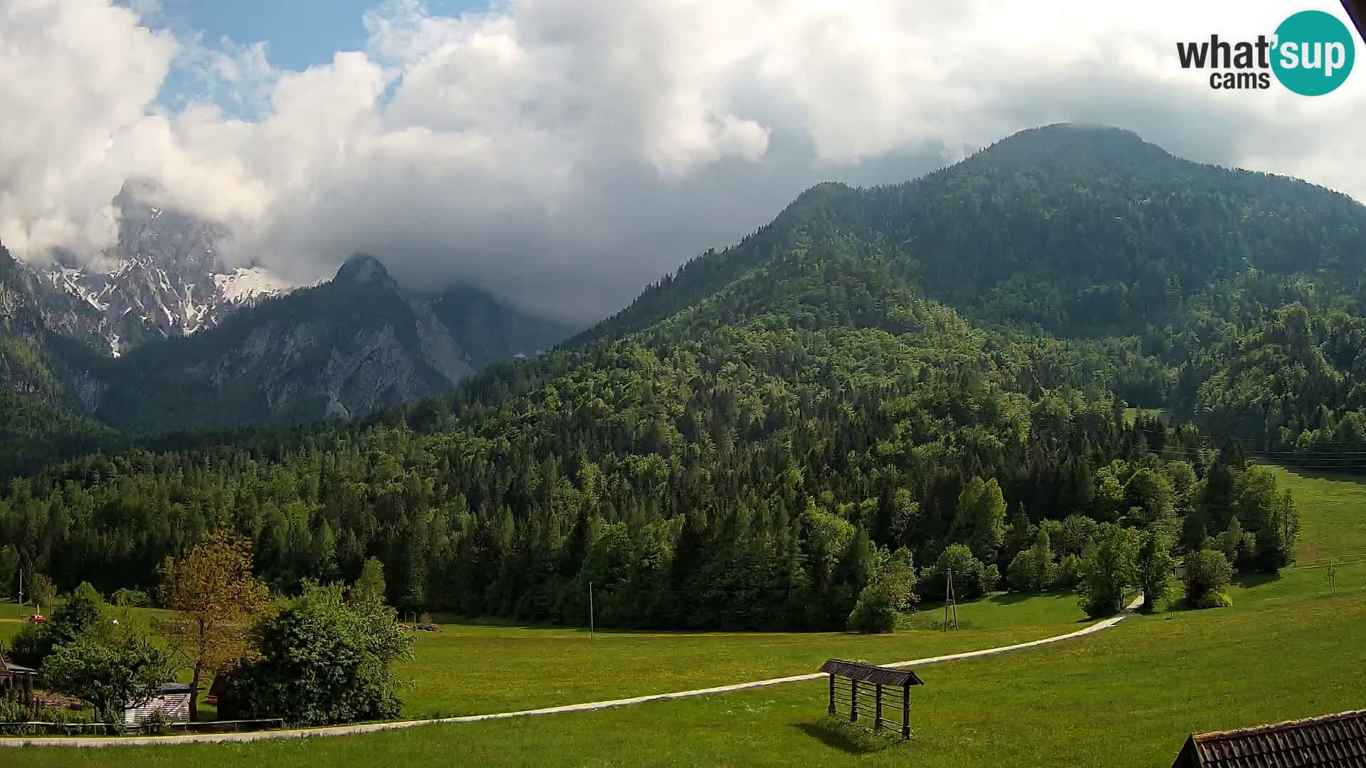 Gozd Martuljek – Špik Mountain Group