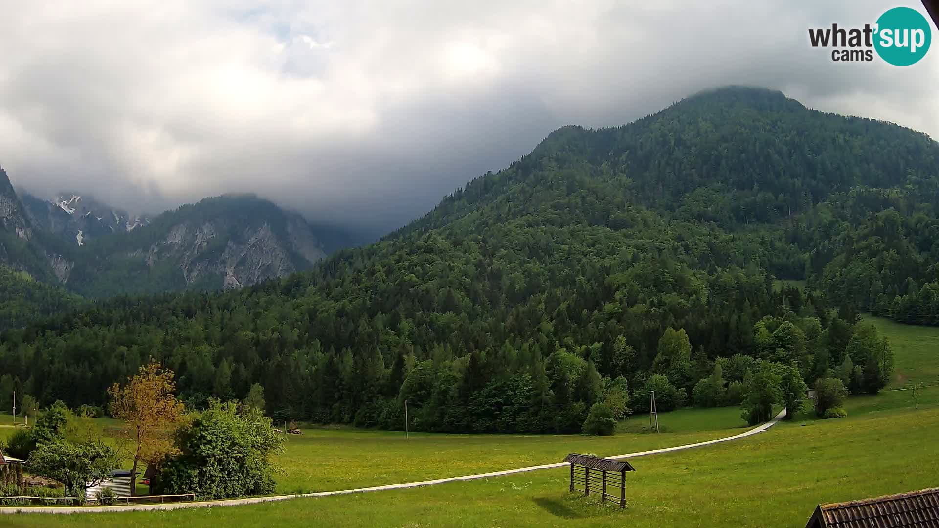 Gozd Martuljek – Špikova skupina
