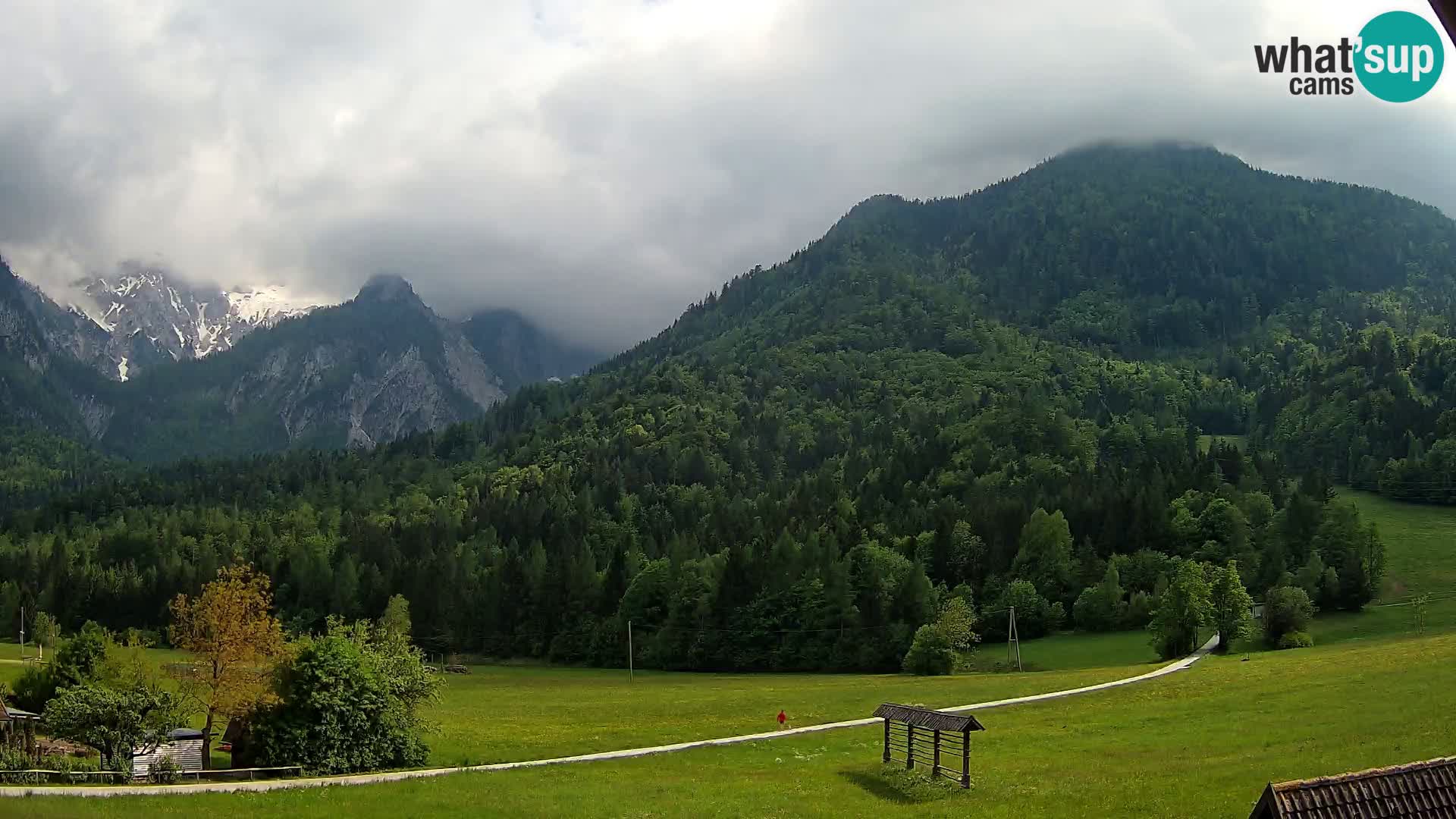 Gozd Martuljek – Špik Mountain Group
