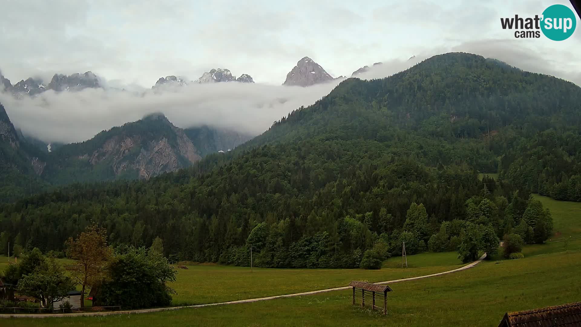 Gozd Martuljek – Špikova skupina