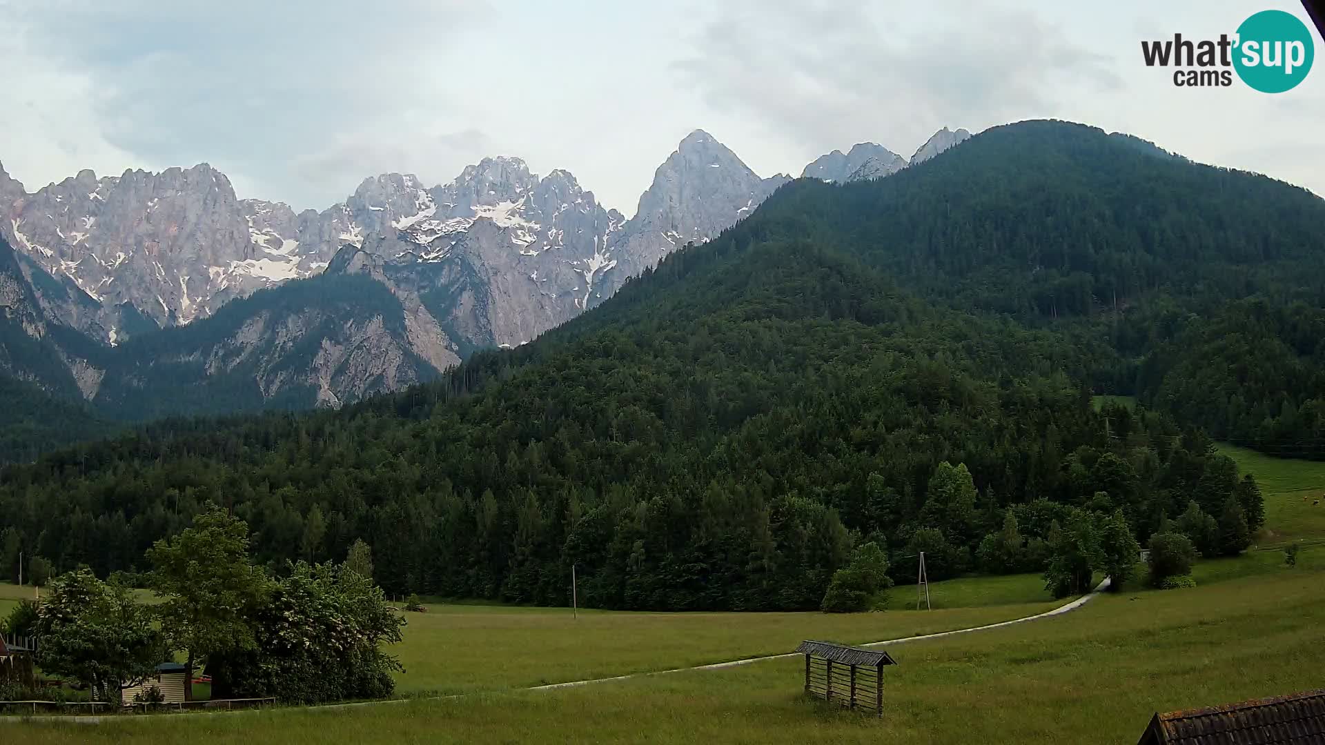 Gozd Martuljek – Špikova skupina