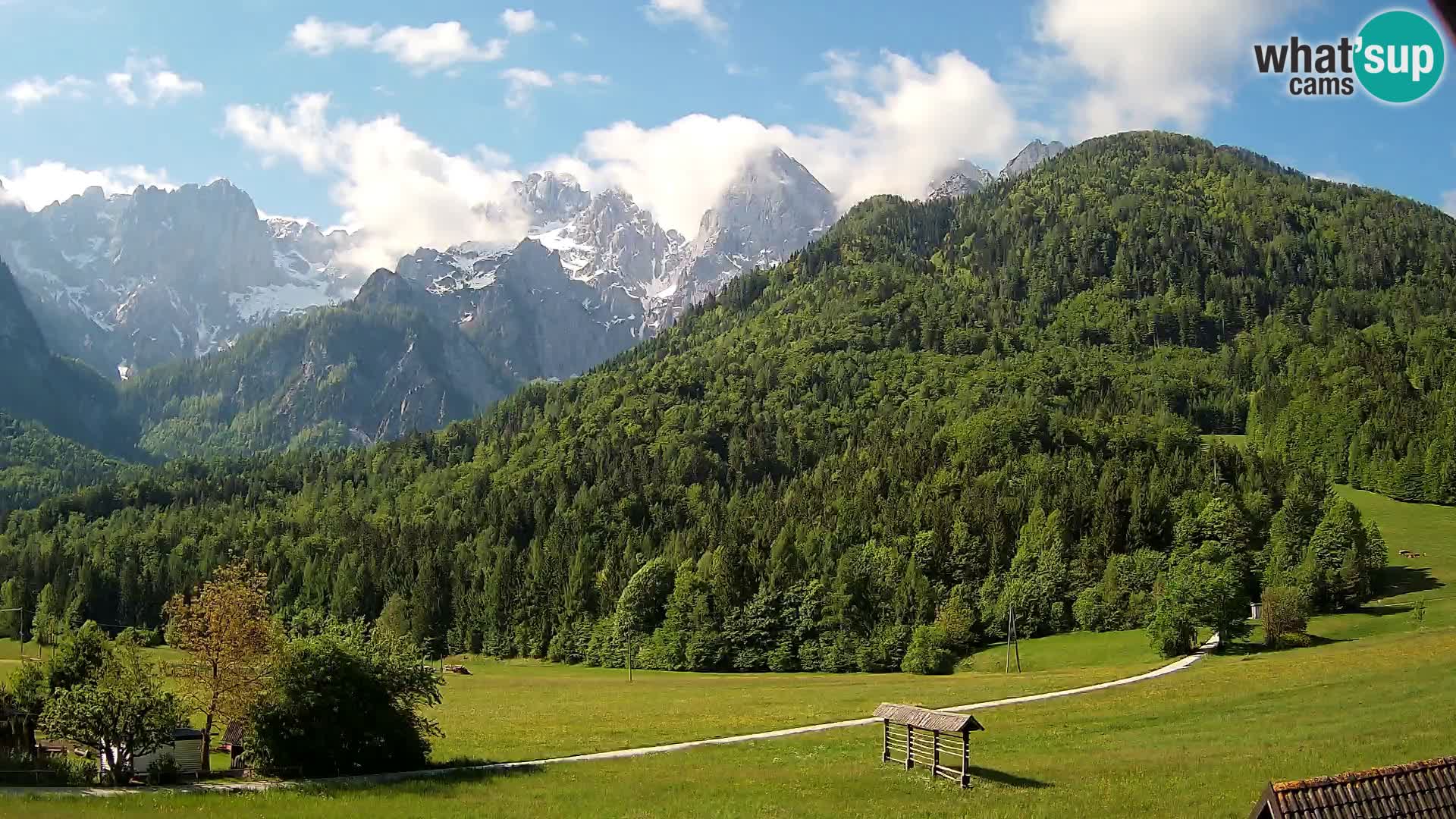 Gozd Martuljek – Špik Mountain Group