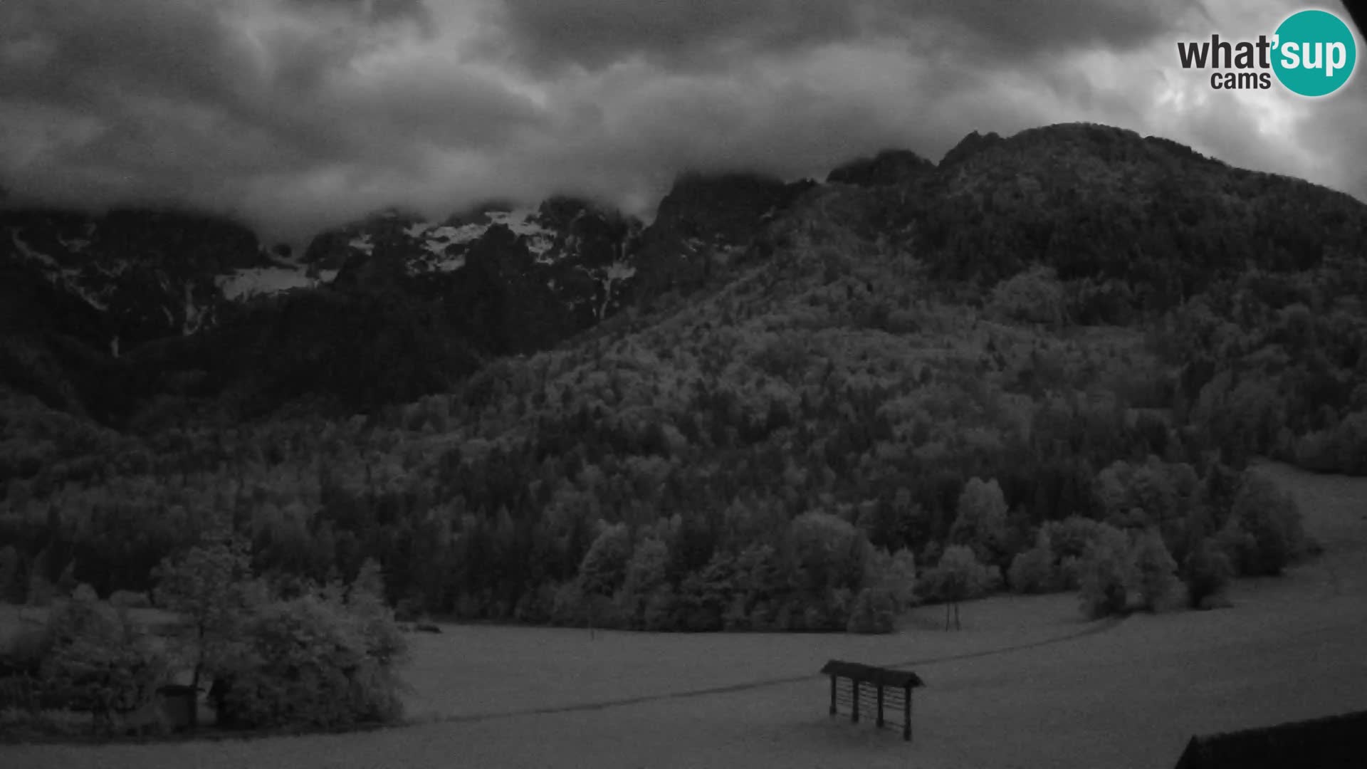 Gozd Martuljek – Špik Mountain Group