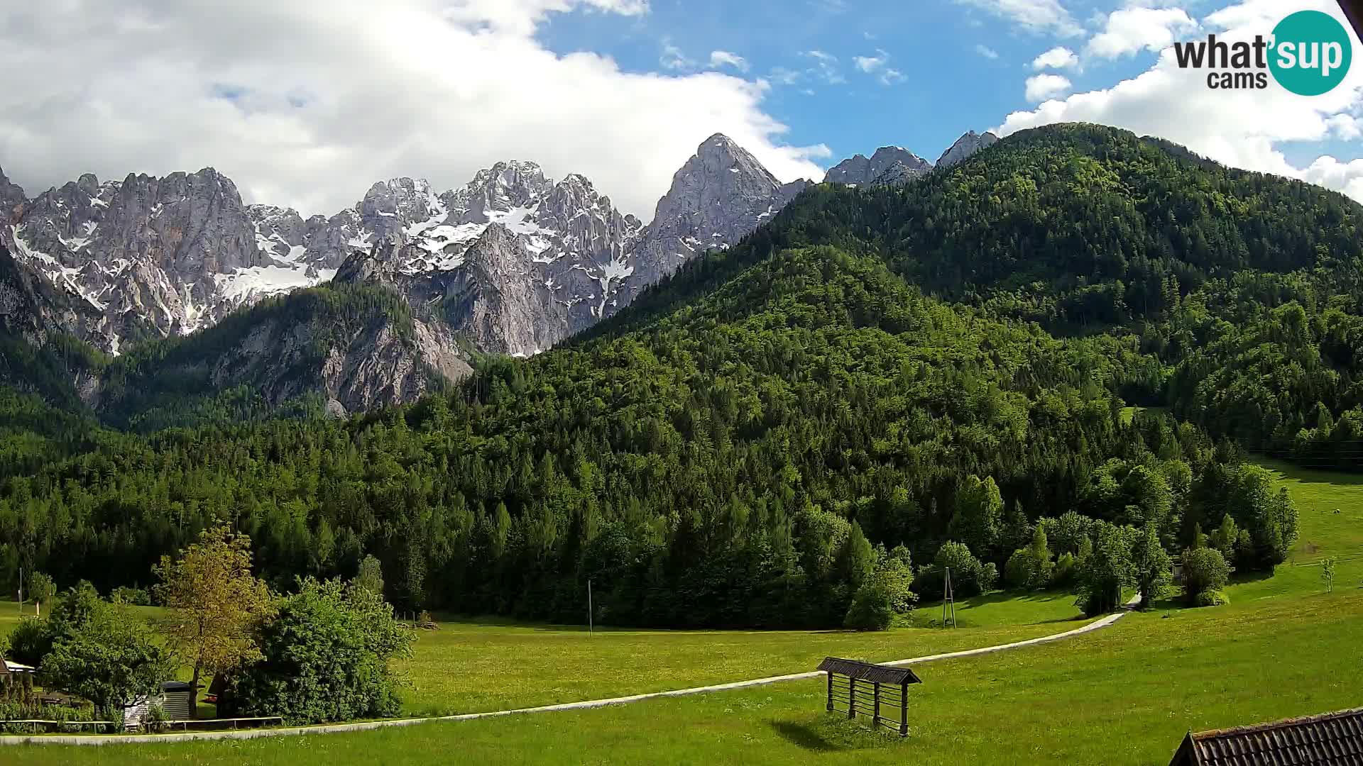 Gozd Martuljek – Špik Mountain Group