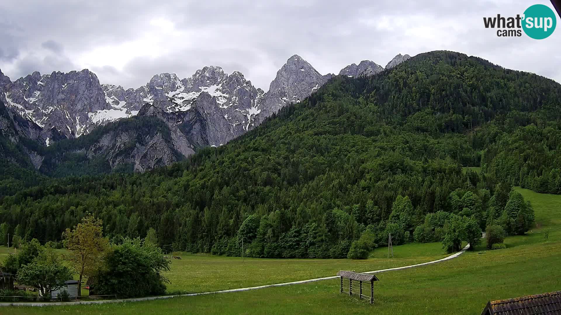 Gozd Martuljek – Špik Mountain Group