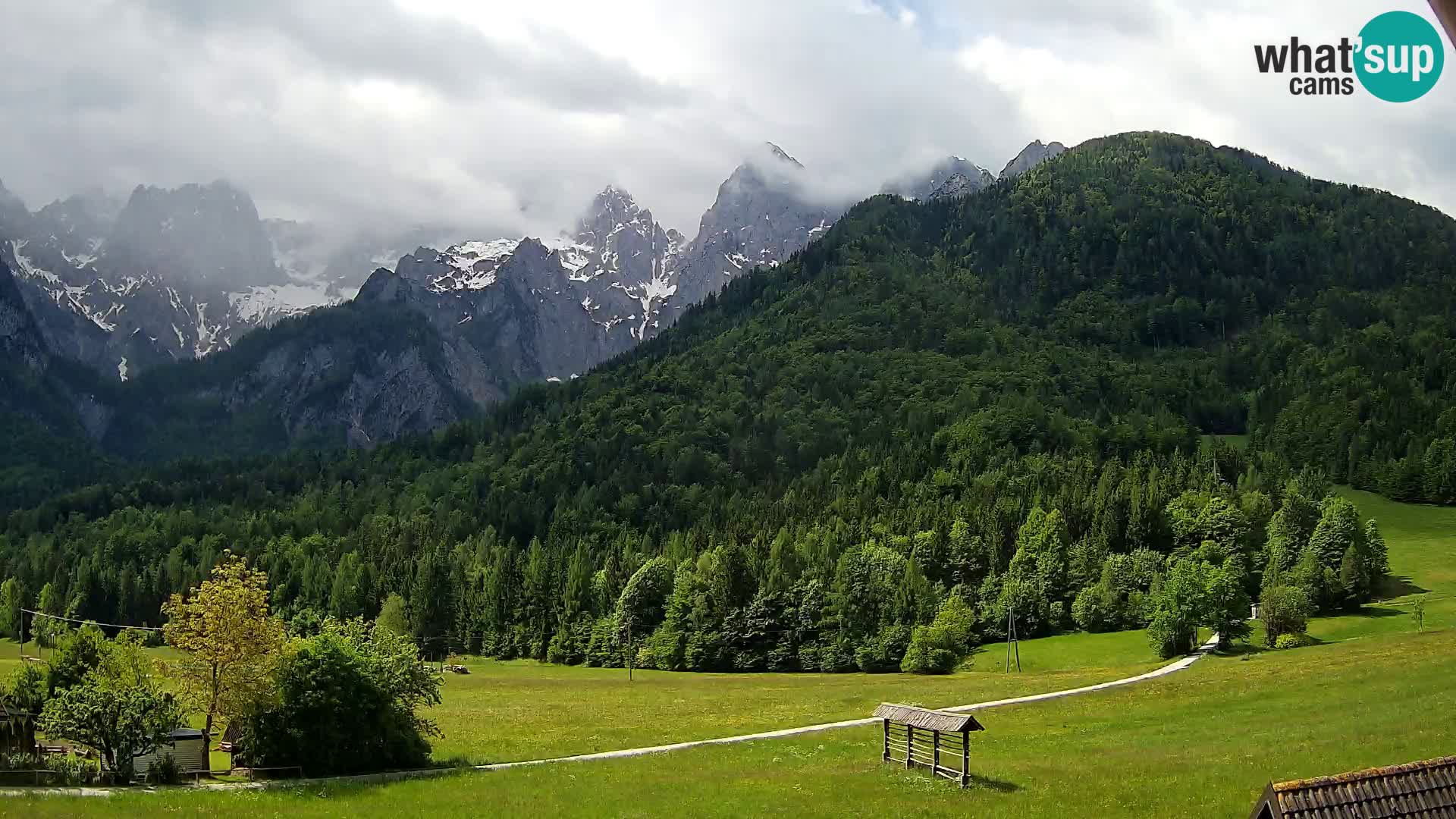 Gozd Martuljek – Špik Mountain Group