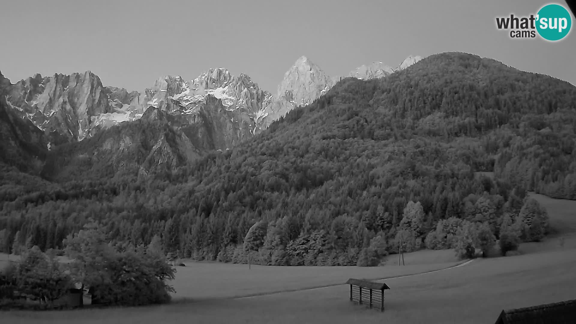 Gozd Martuljek – Špik Mountain Group