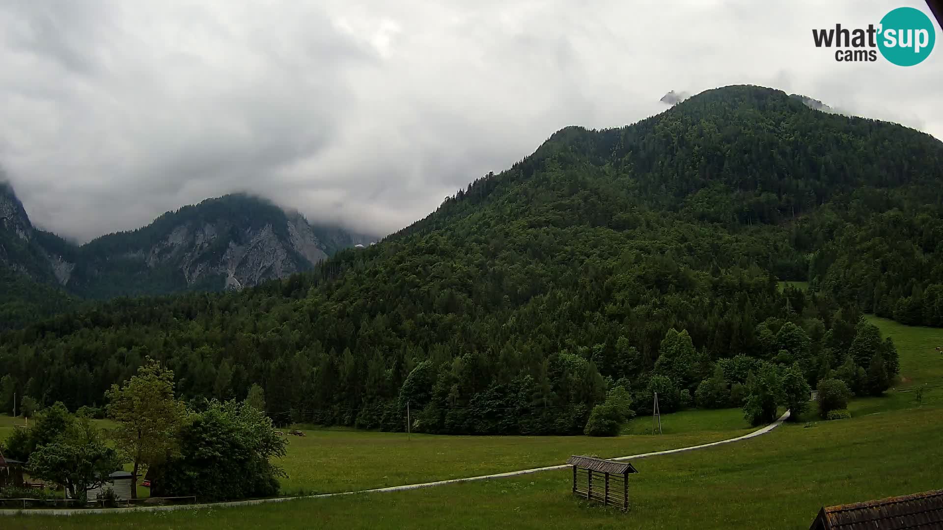 Gozd Martuljek – Špik Mountain Group