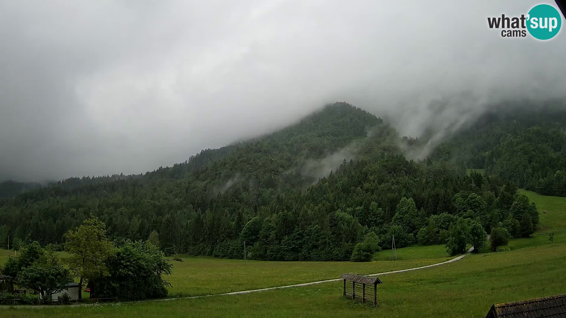 Gozd Martuljek – Špikova skupina