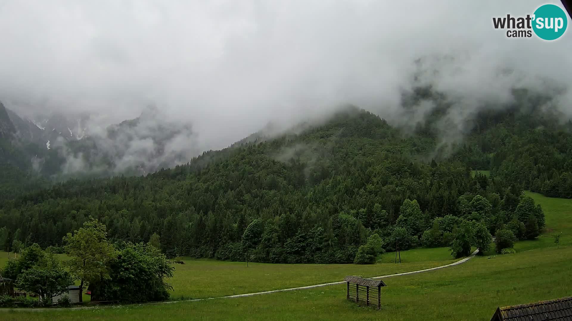 Gozd Martuljek – Špik Mountain Group