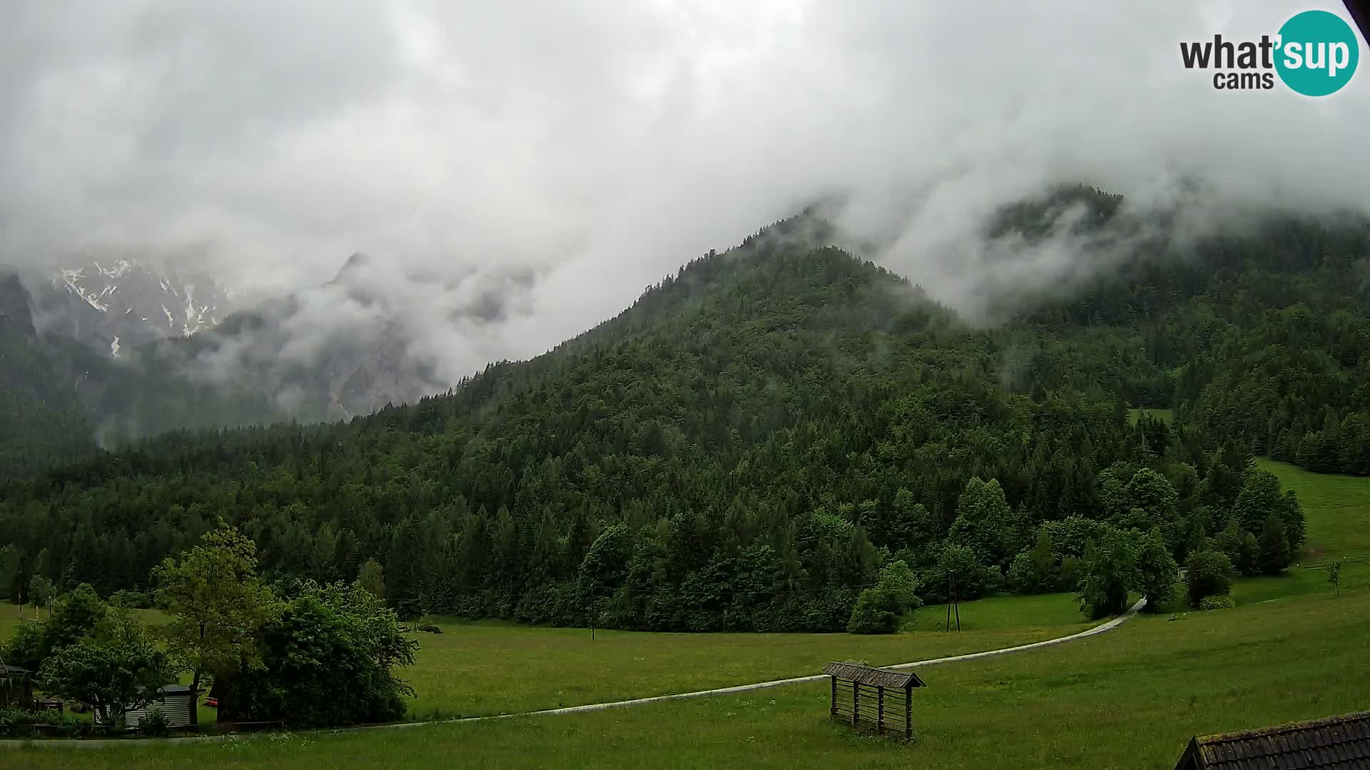 Gozd Martuljek –  planinski lanac Špik