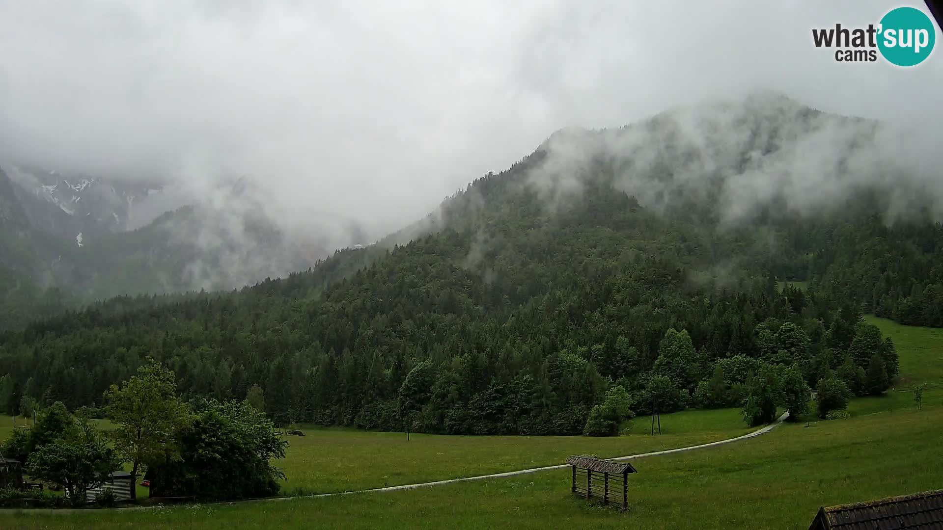 Gozd Martuljek –  planinski lanac Špik