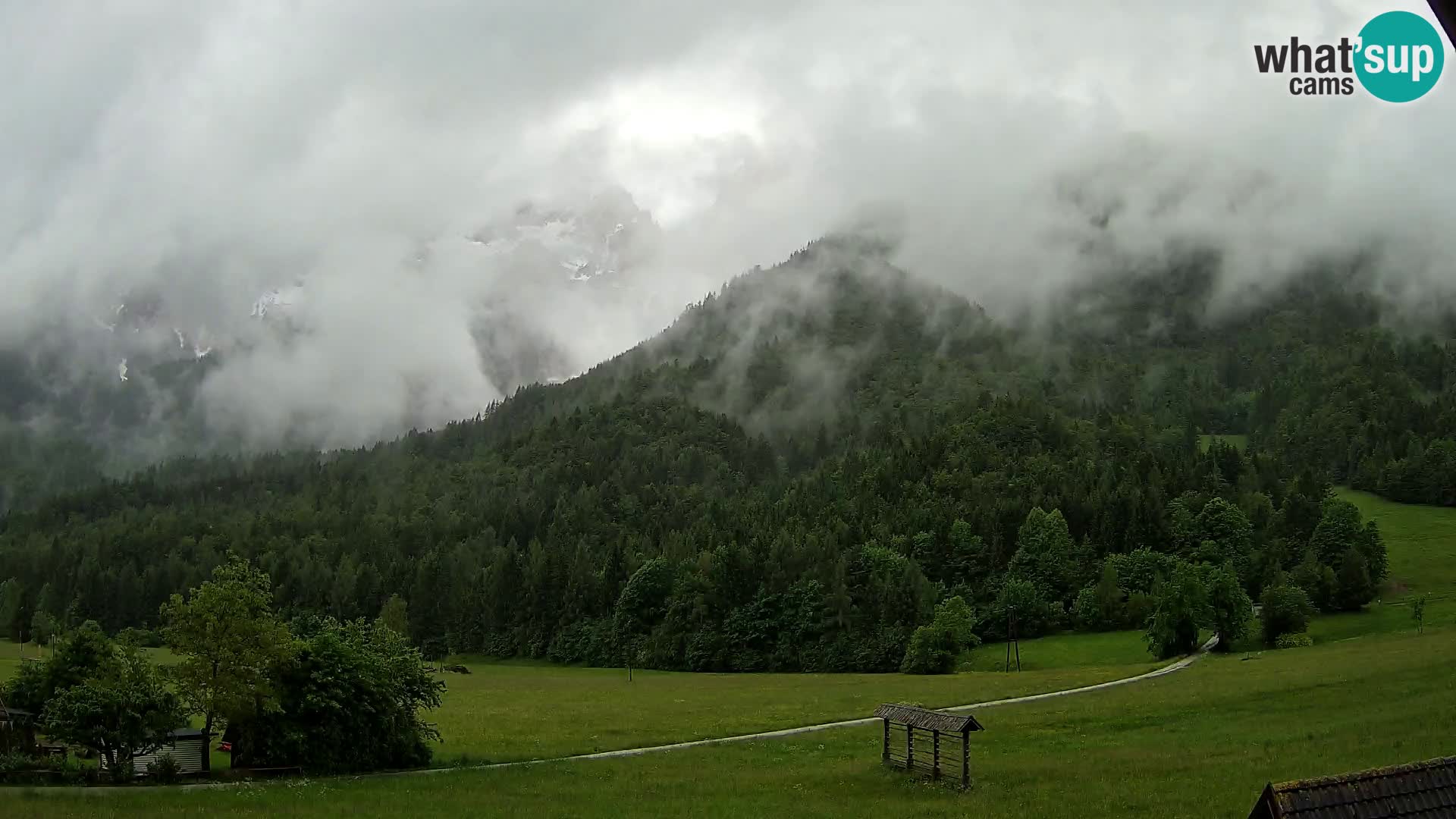 Gozd Martuljek – Špik Mountain Group