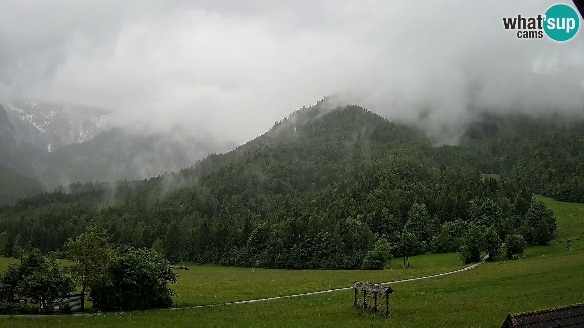 Gozd Martuljek – Špik Mountain Group